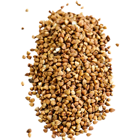 Graines Sarrasin Décortiquées Vrac BIO